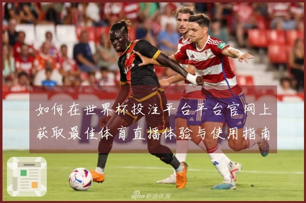 如何在世界杯投注平台平台官网上获取最佳体育直播体验与使用指南