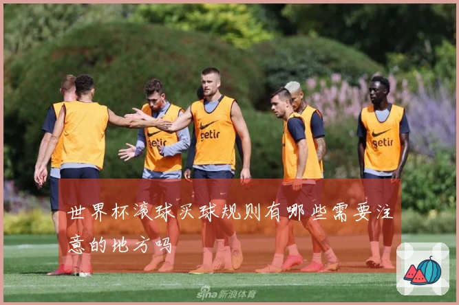 世界杯滚球买球规则有哪些需要注意的地方吗