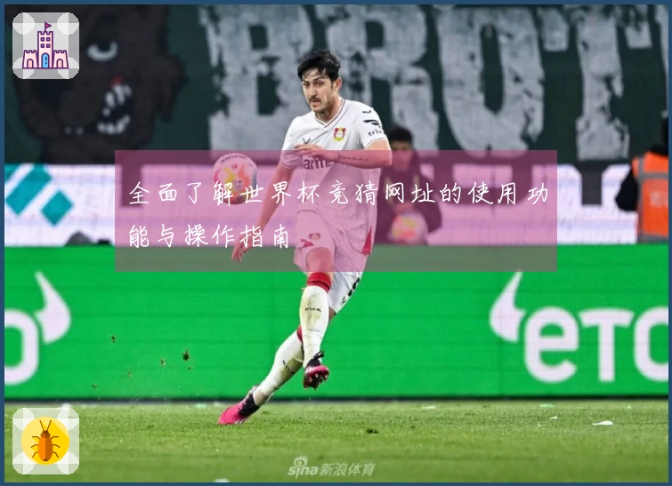 全面了解世界杯竞猜网址的使用功能与操作指南