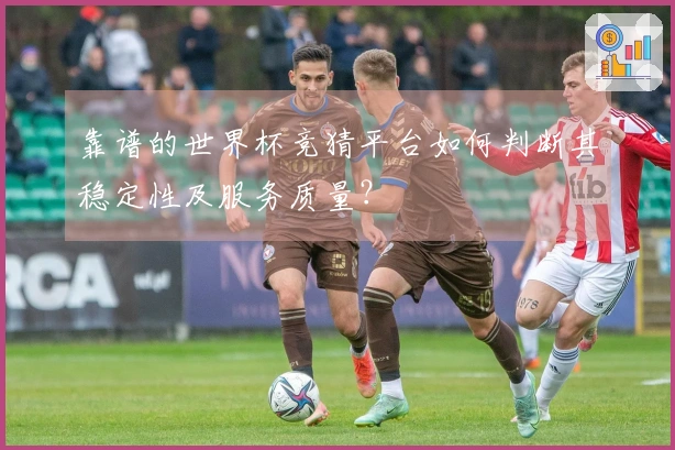 靠谱的世界杯竞猜平台如何判断其稳定性及服务质量？