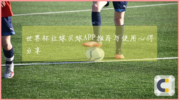 世界杯让球买球APP推荐与使用心得分享