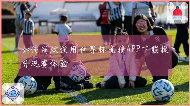 如何高效使用世界杯竞猜APP下载提升观赛体验