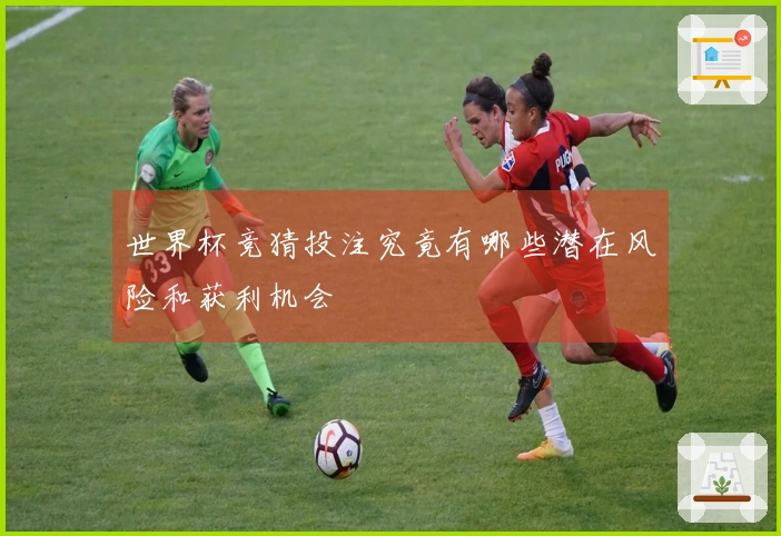 世界杯竞猜投注究竟有哪些潜在风险和获利机会