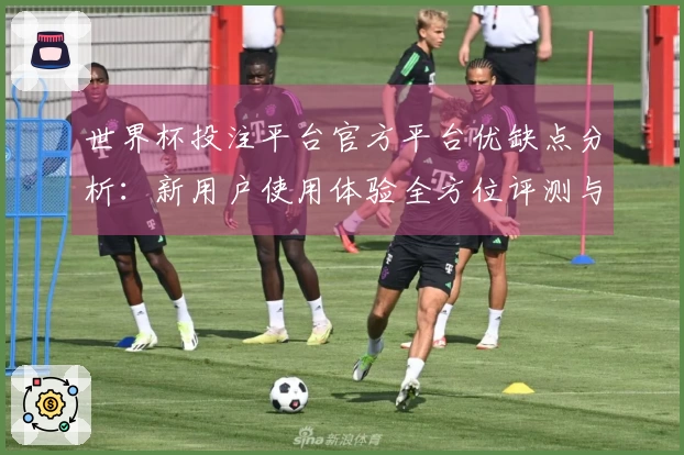 世界杯投注平台官方平台优缺点分析：新用户使用体验全方位评测与推荐