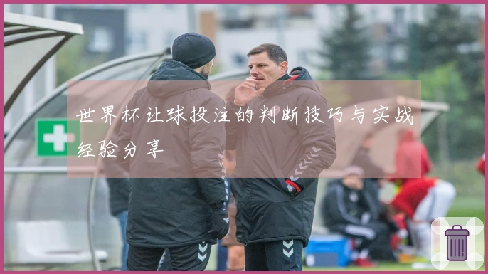 世界杯让球投注的判断技巧与实战经验分享