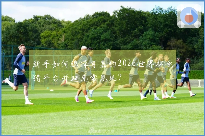 新手如何选择可靠的2026世界杯竞猜平台并避免常见坑？