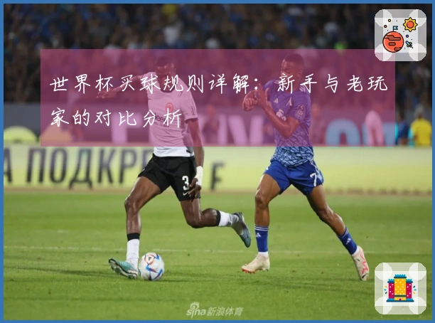 世界杯买球规则详解：新手与老玩家的对比分析