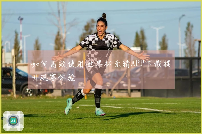 如何高效使用世界杯竞猜APP下载提升观赛体验
