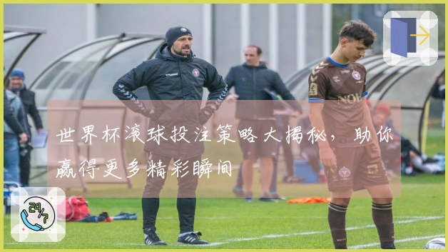 世界杯滚球投注策略大揭秘，助你赢得更多精彩瞬间