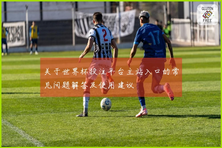 关于世界杯投注平台主站入口的常见问题解答及使用建议